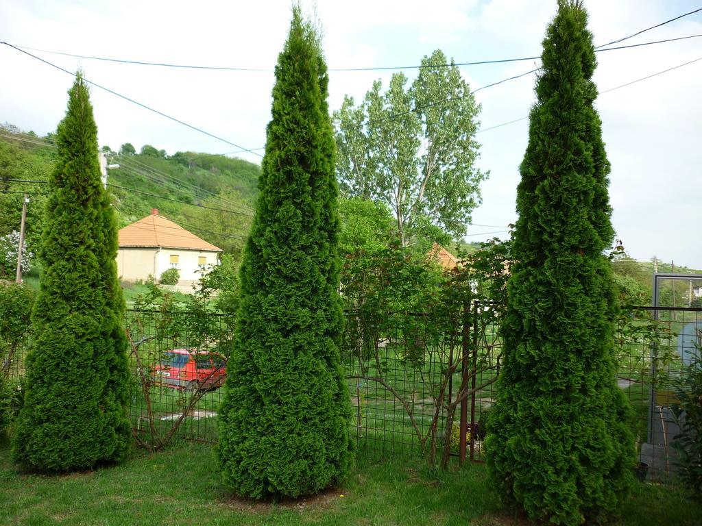 Buekk Vendeghaz Hotel Noszvaj Buitenkant foto